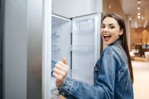 Melhores Geladeiras Frost Free para comprar